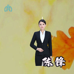 陈锋